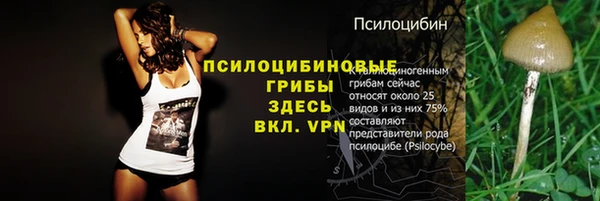 бошки Арсеньев
