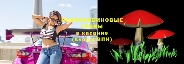 тгк Аркадак