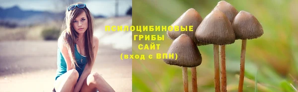 тгк Аркадак