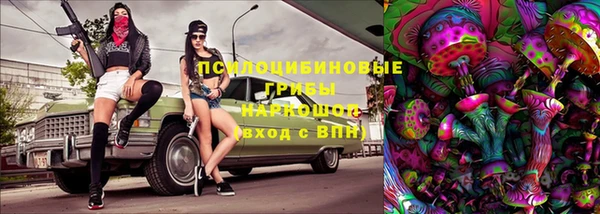 бошки Арсеньев